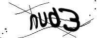 captcha_img