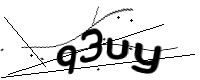 captcha_img