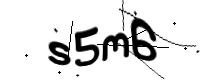 captcha_img
